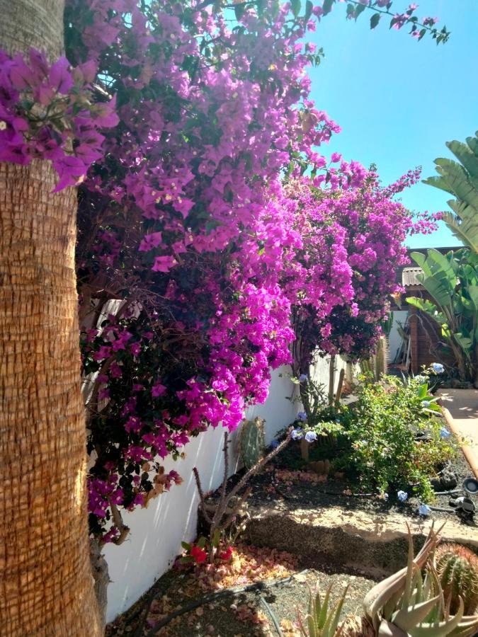 Villa Rosa meravigliosa con piscina interna Corralejo Esterno foto